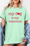 My dog Is My Valentine Graphic Heavy Cotton Tee